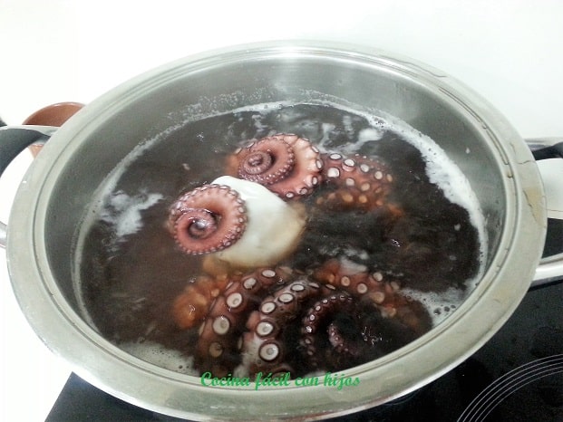 pulpo preparado para cocer