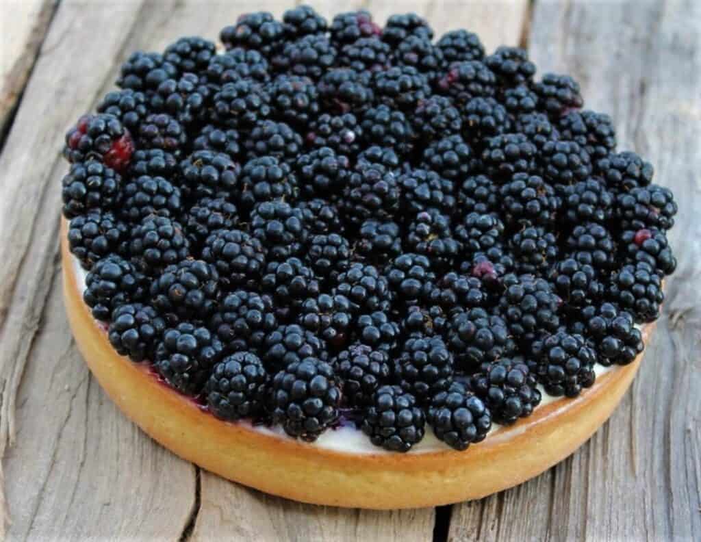 tarta de moras en microondas, tarta terminada, receta