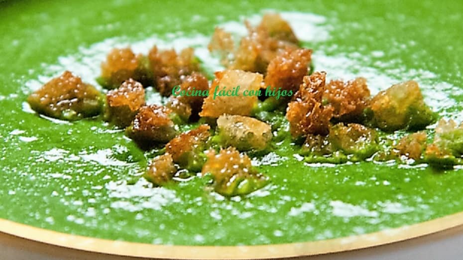 crema de espinacas con thermomix plato terminadoato